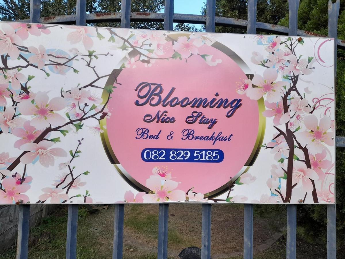 Blooming Nice Stay Harrismith Exteriör bild